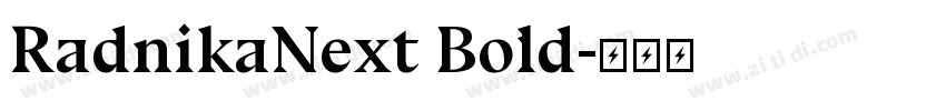 RadnikaNext Bold字体转换